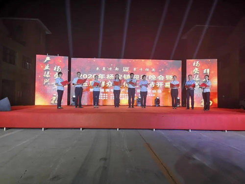 太熱鬧啦！2020楊安鎮迎秋晚會暨第五屆群眾文化藝術節盛大開幕